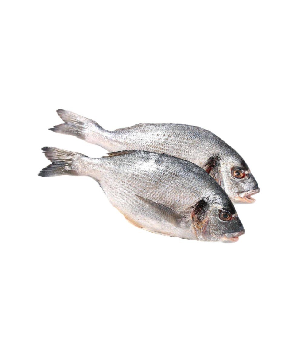 Дорадо маринованная ПСГ замороженная в/у