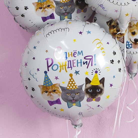 45 см, Круг, Котики, С Днем Рождения!