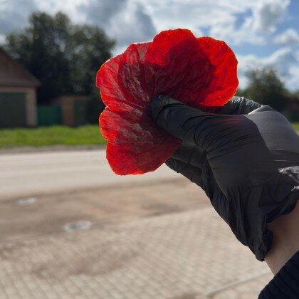 Чипсы из форели