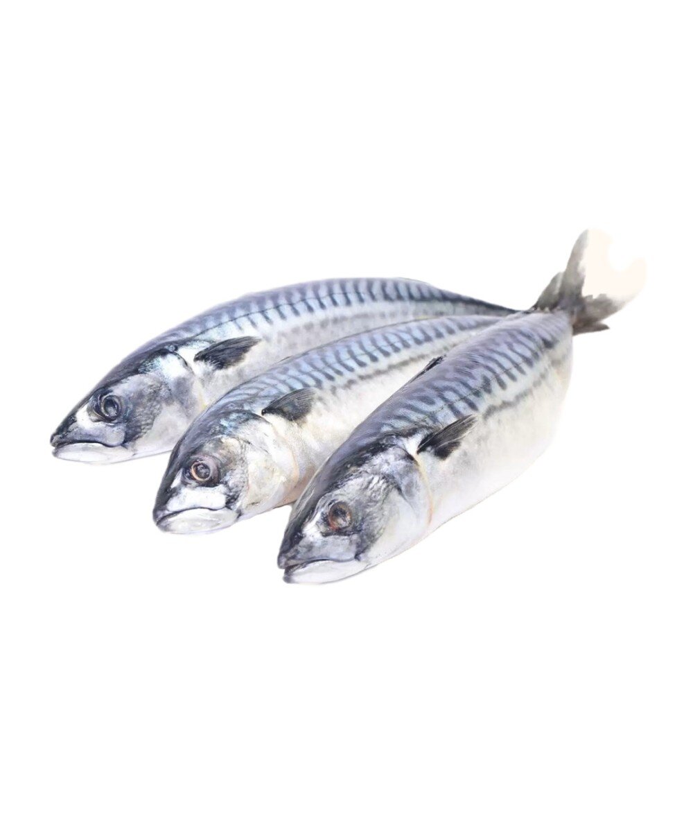Скумбрия свежемороженая неразделанная