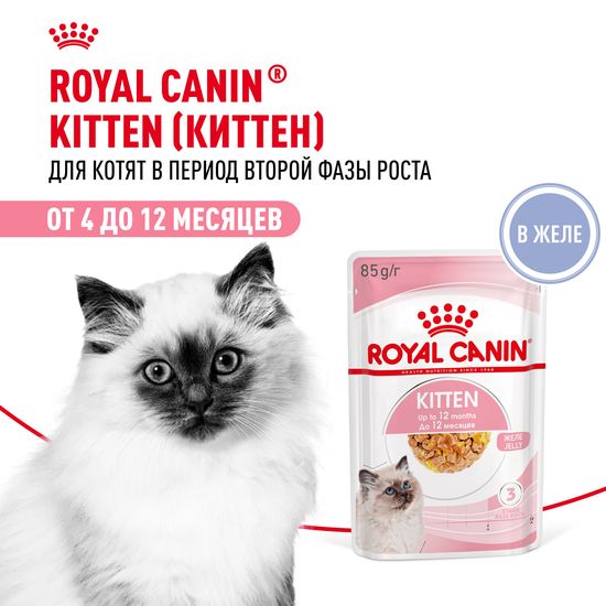 ROYAL CANIN Киттен пауч для котят от 4 до 12 месяцев, кусочки в желе, 85 г