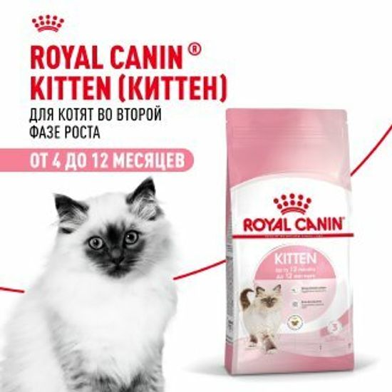 ROYAL CANIN Киттен сухой корм для котят от 4 до 12 месяцев, 2 кг