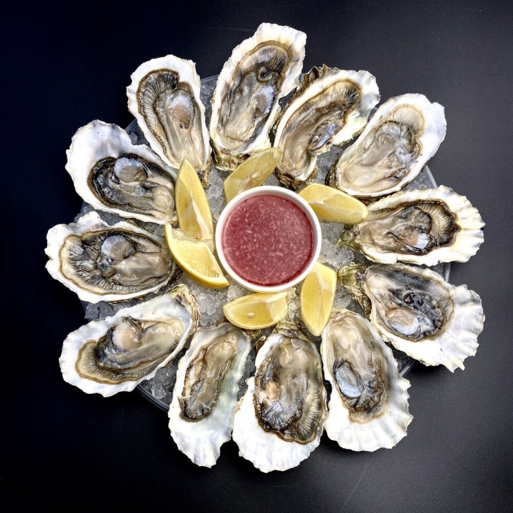 Сет Устриц №4