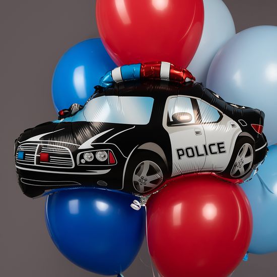 ≈ 66 см, Фигура, Полицейская машина