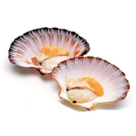 Гребешок на полустворке микс