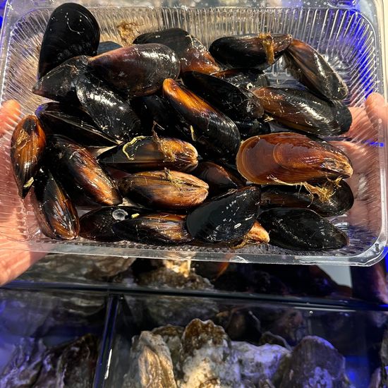 Мидии черноморские