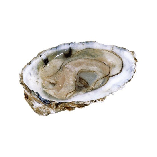 Живая Устрица Круазе, размер 2 Тунис