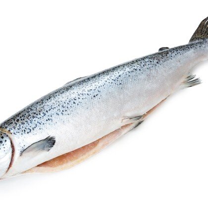 Лосось(Семга) атлантический с/м 3-5 кг Чили