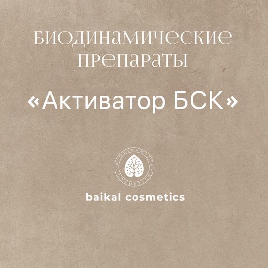 Активатор БСК