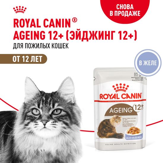 ROYAL CANIN Эйджинг 12+ пауч для кошек старше 12 лет, кусочки в желе, 85 г