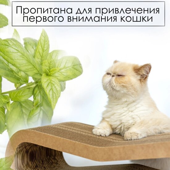 Дряпка-лежанка "Зверьё Моё" Восьмёрка средняя 53*21*16см (1)