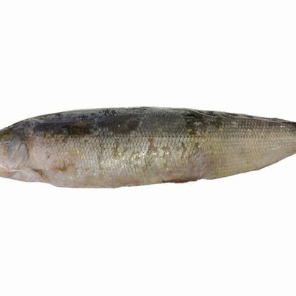 Омуль свежемороженый, кг