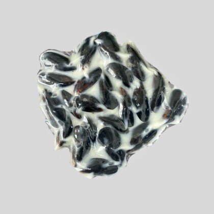 Мидии Чили  в соусе Горгонзола в раковине 500 гр