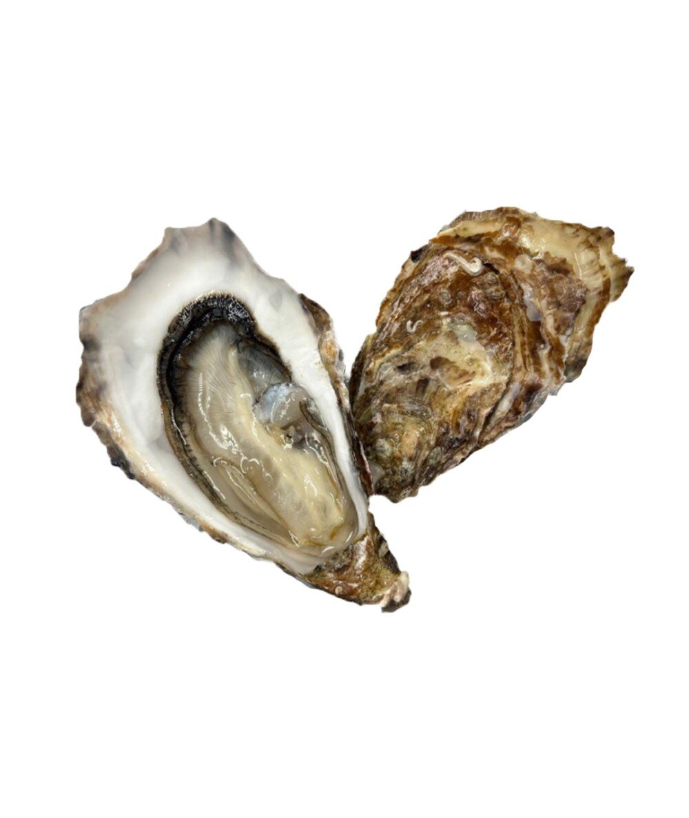 Живая Устрица Святой Патрик 2 Ирландия