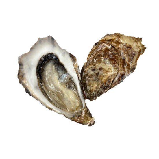 Живая Устрица Святой Патрик 2 Ирландия