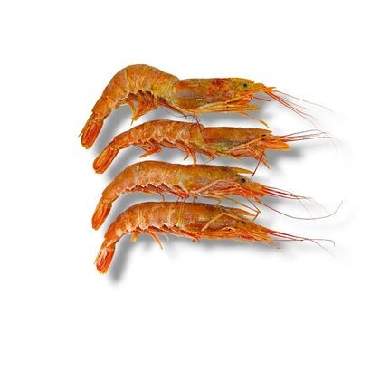 Креветка 10/20 (Лангустины) с/г 500 гр