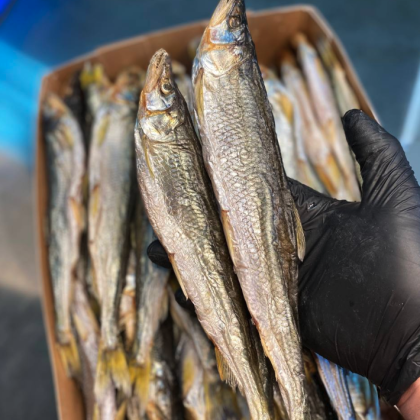 Вяленая корюшка крупная Охотская