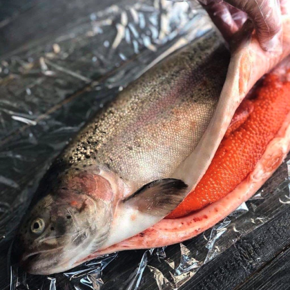 Форель  из Карелии