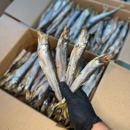 Корюшка вяленая Камчатская