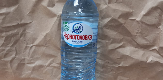 Вода Черноголовка б/г 0,5л.