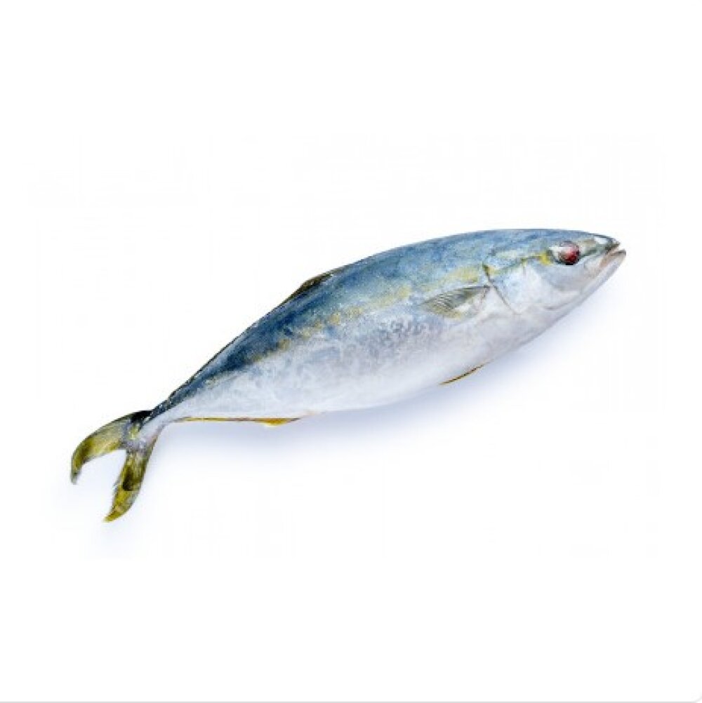 Лакедра с/м, кг