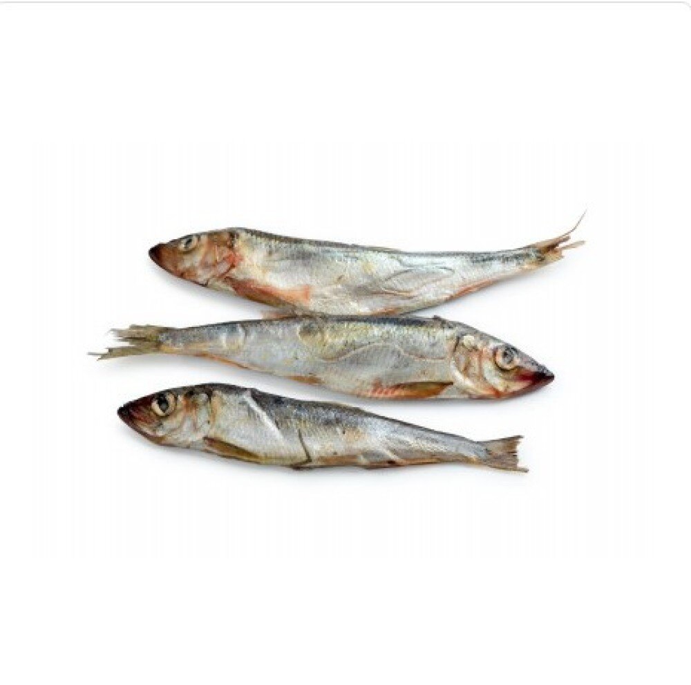 Сардина иваси слабосоленая