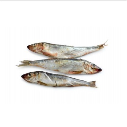 Сардина иваси слабосоленая