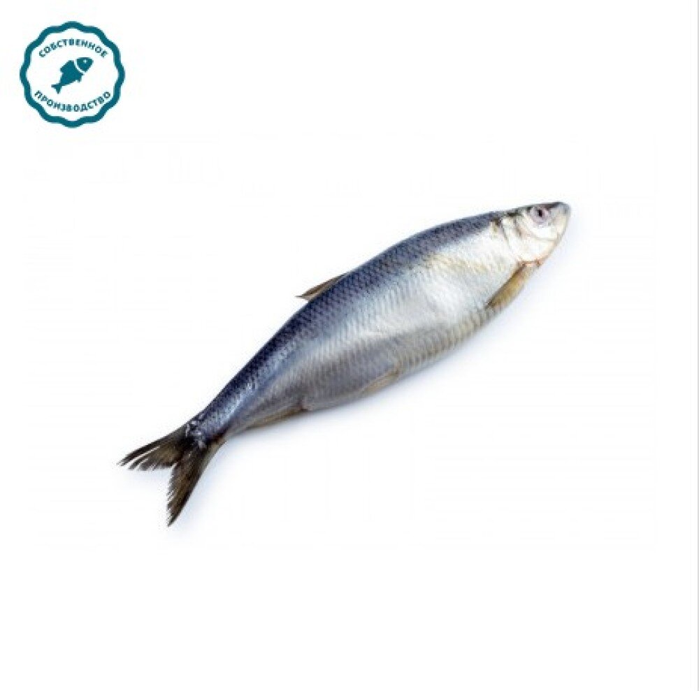 Сельдь слабосоленая (Фарерские острова)