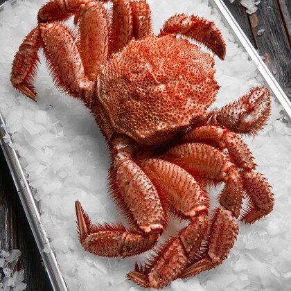 Краб волосатик