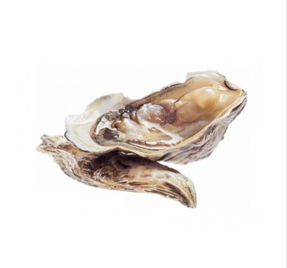 Устрица живая "Розовая Джоли" (Намибия)