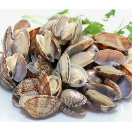 Клеммы Вонголе в/м 500гр