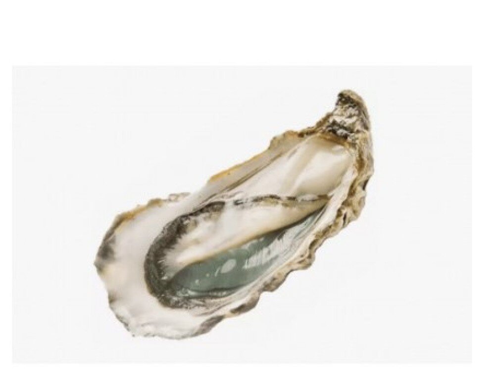Устрица Фин де Клер 3