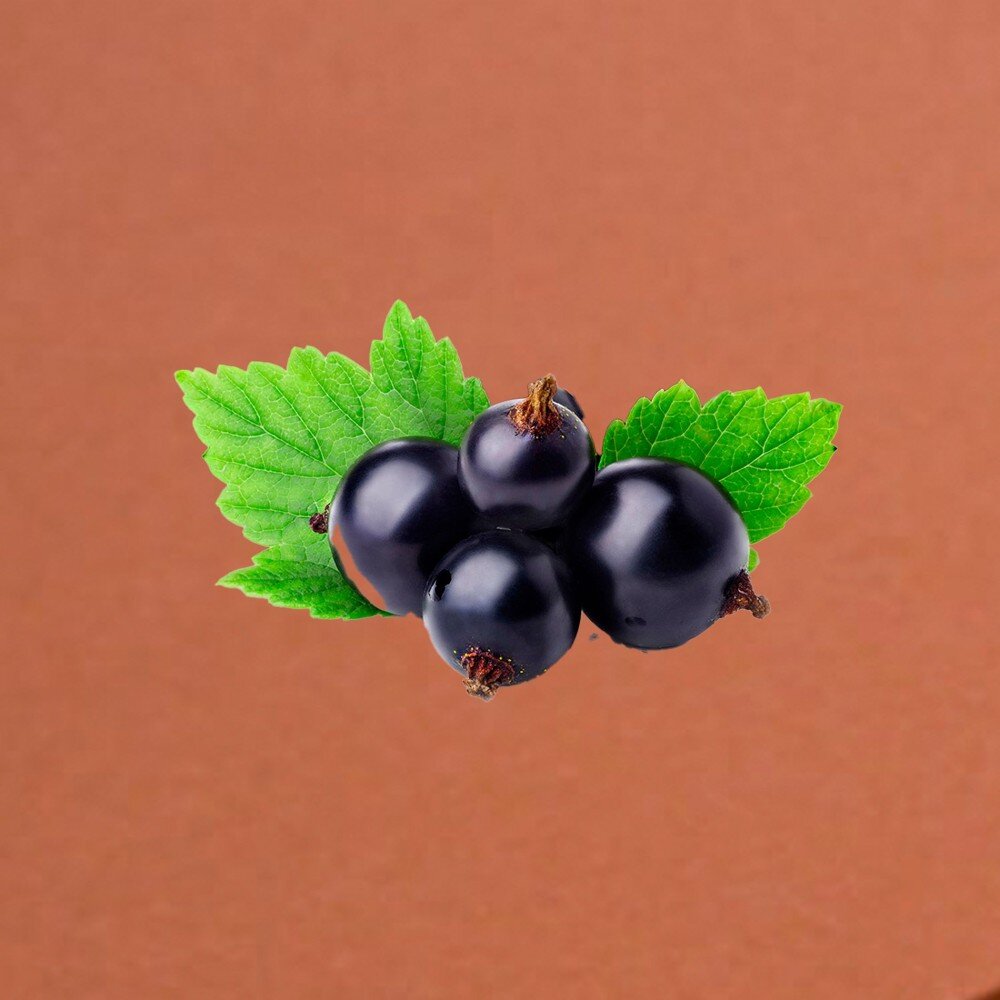 Добавка Смородина