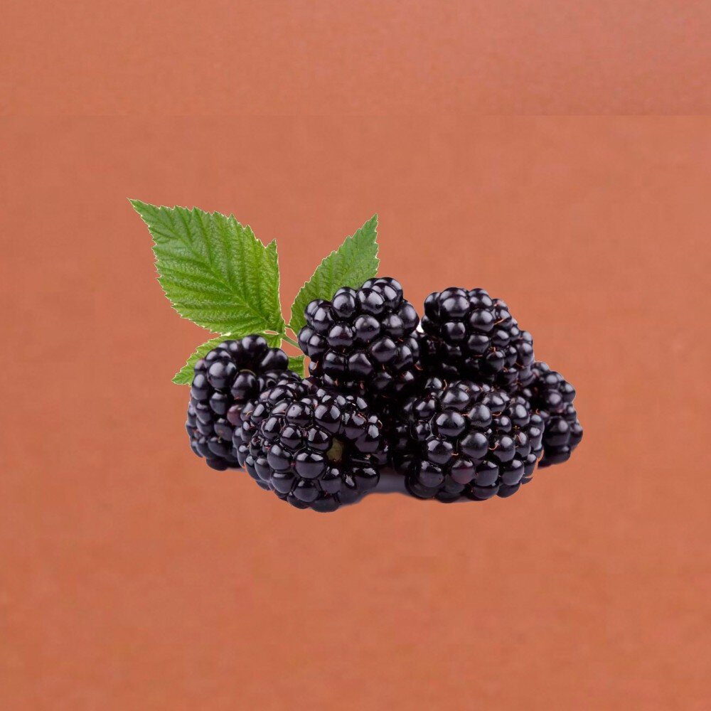 Добавка Ежевика