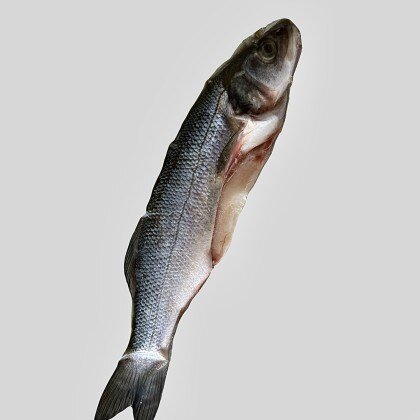 Сибас свежемороженый непотраш.,с головой