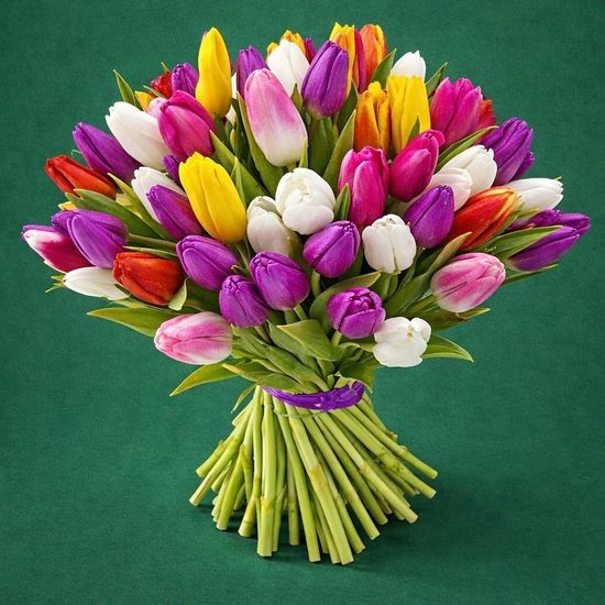 Тюльпаны 55 шт.