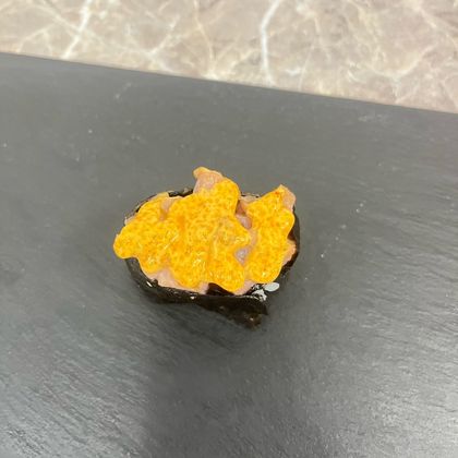 Гункан запеченный с тунцом