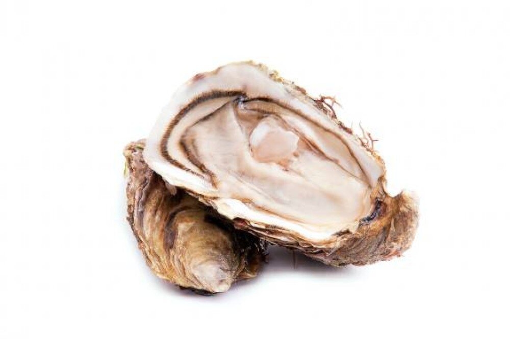 Устрица Старка, размер Л Дальневосточная