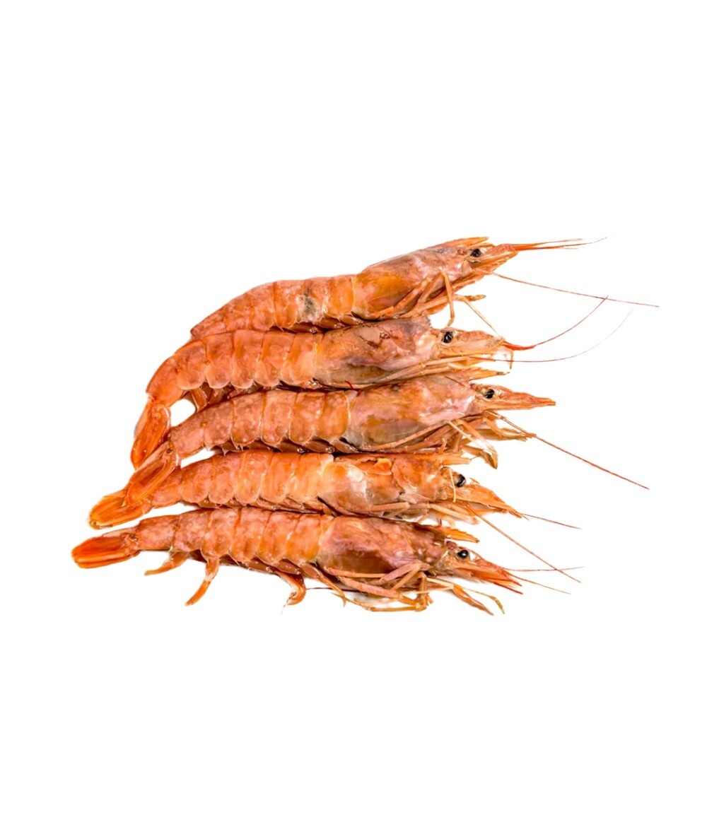 Креветка Аргентинская L1