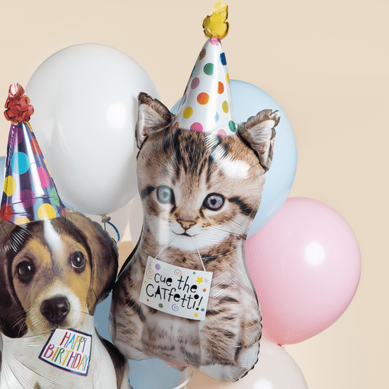 ≈ 76 см, Фигура, Котенок в колпачке