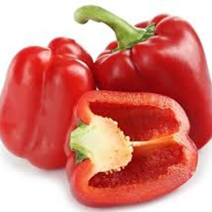 Перец болгарский