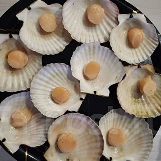 Гребешок на полустворке