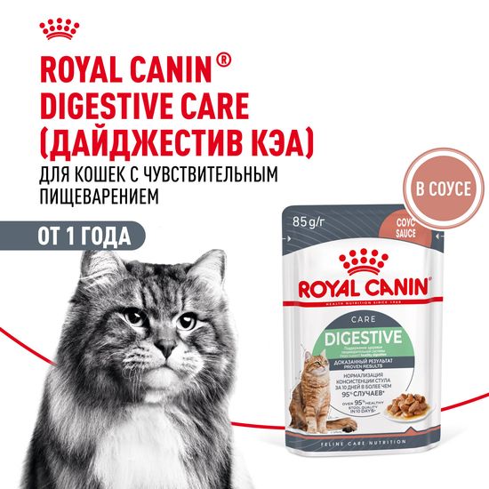 ROYAL CANIN Дайджестив Кэа пауч для взрослых кошек с чувствительным пищеварением, тонкие ломтики в соусе, 85 г