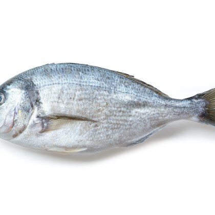 Дорада свежемороженая, кг