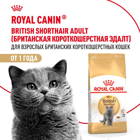 ROYAL CANIN Британская Короткошёрстная сухой корм для взрослых кошек породы британская короткошёрстная, 2 кг