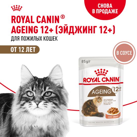 ROYAL CANIN Эйджинг 12+ пауч для кошек старше 12 лет, кусочки в соусе, 85 г