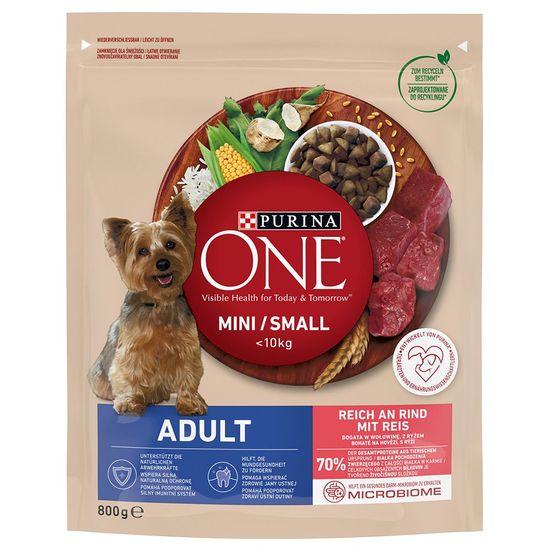Purina ONE Мини сухой корм для взрослых собак мелких и карликовых пород, говядина с рисом, 600 г (9845)