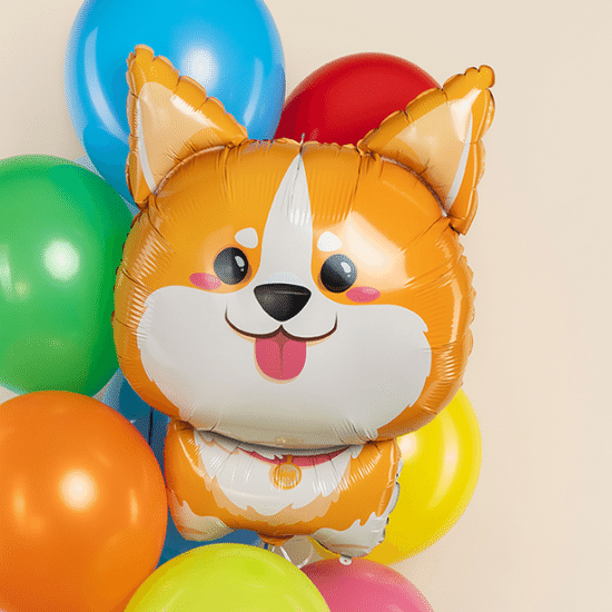 ≈ 81 см, Фигура, Корги