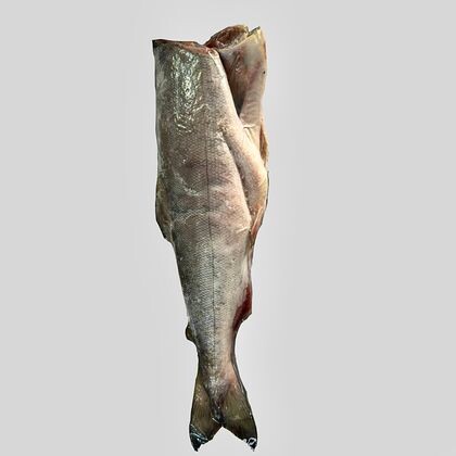 Кета свежемороженая, кг