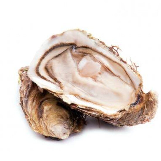 Устрица Старка, размер М, Дальневосточная